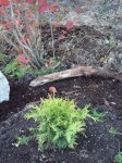 сентябрь 2010 038.jpg