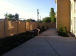 огород 2.jpg