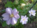 20130530_080504.jpg