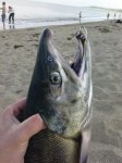 DSC01204.JPG