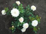 20130710_145349.jpg