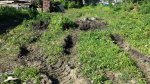 20130718_095354.jpg