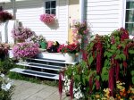 DSCF5817.JPG