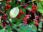 DSCF5840.JPG