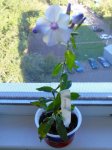 DSC00506+.jpg