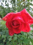 сезон 2013 3557.jpg