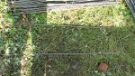 S1210014.JPG