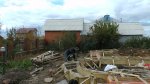 S1230017.JPG