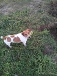 2013-11-01_16.59.24.jpg