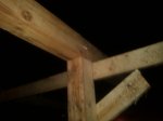 IMG_20131105_211904.jpg