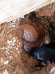 IMG_20130831_183432.jpg