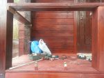 20131130_124430.jpg