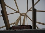DSCN1785.jpg