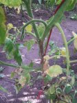 20140906_142406.jpg