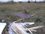 20141004_113259.jpg