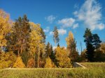 IMG_20141004_172130[1].jpg