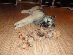 DSC05757.JPG