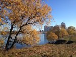 IMG_3620.JPG