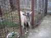 DSCN0907.JPG