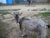 DSCN0908.JPG