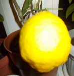 документы- 003.JPG