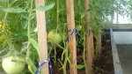 DSC03840.JPG