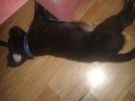 20150619_073634.jpg