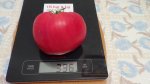 DSC03921.JPG