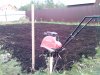DSC00018.jpg