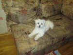 IMG_4195.JPG