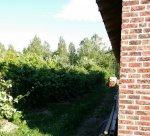 20150727_115215.jpg