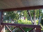 IMG_20150805_091815.jpg