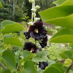 Изображение 131.jpg