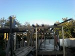 IMG-20150821-WA0004.jpg