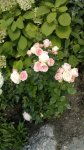 2015-08-23-3438.jpg