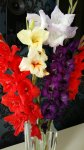 20150817_093040.jpg