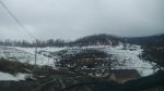 Вид снизу в начале весны.jpg