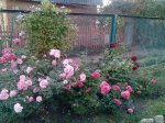 IMG_20150926_161452.jpg