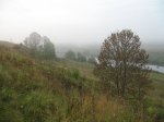 IMG_9842.JPG