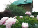 IMG_6500.JPG