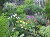 DSCN4524.jpg