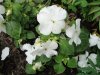 DSC03156.JPG