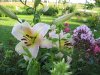IMG_4557m.JPG