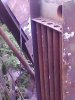 IMG0074A.jpg