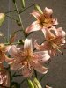 25,07,2011 040.JPG