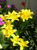 25,07,2011 042.JPG