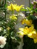 25,07,2011 044.JPG