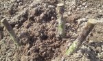 20160430_134041.jpg