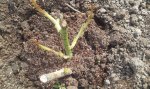 20160430_134243.jpg