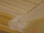 DSC09689.JPG